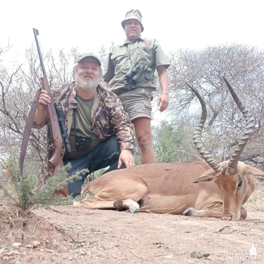 Impala Hunt South Africa