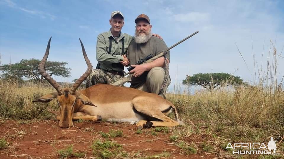 Impala Hunt South Africa