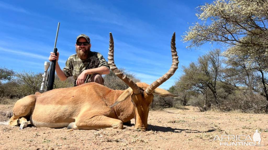 Impala Hunt South Africa