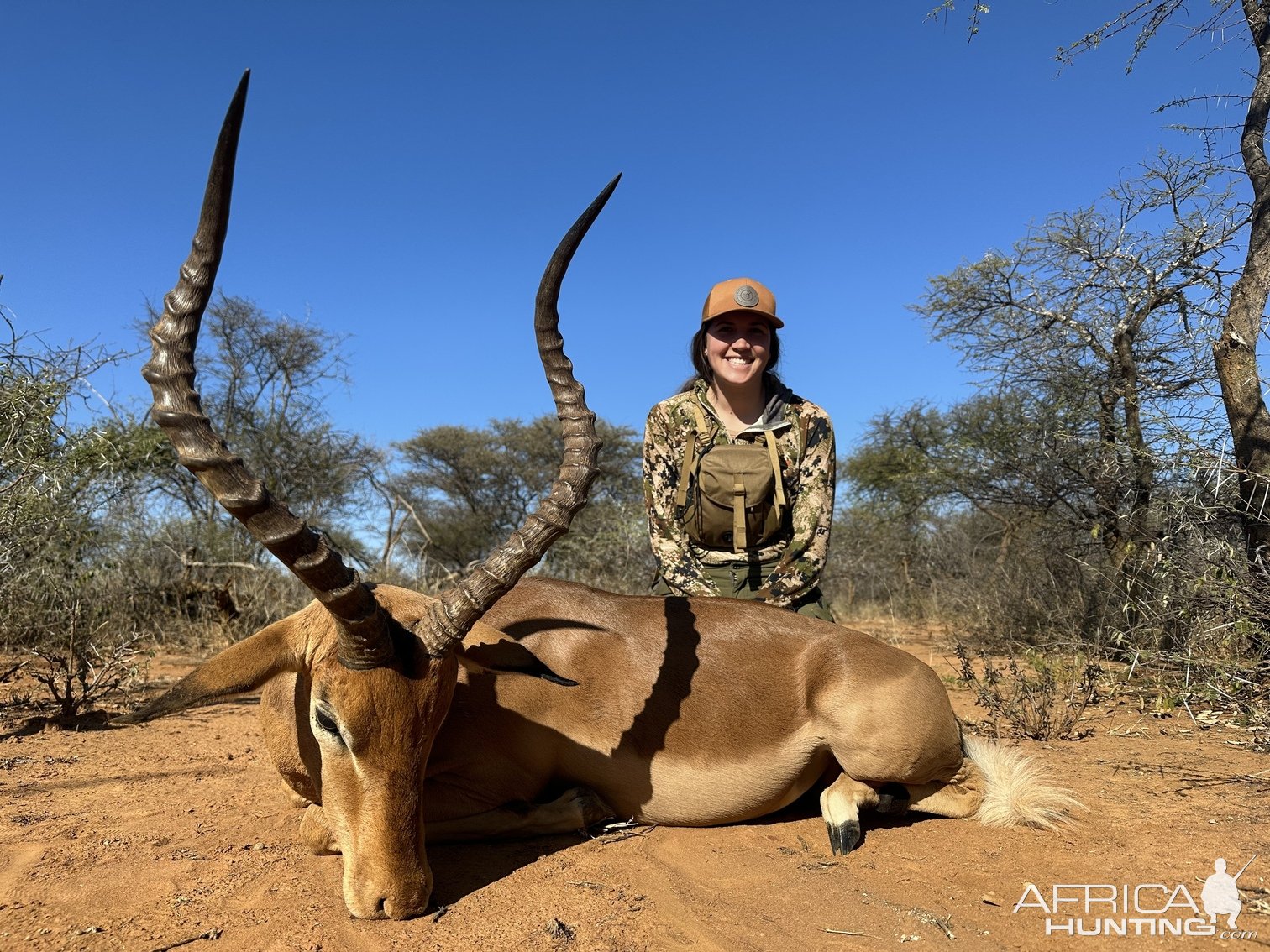 Impala Hunt South Africa