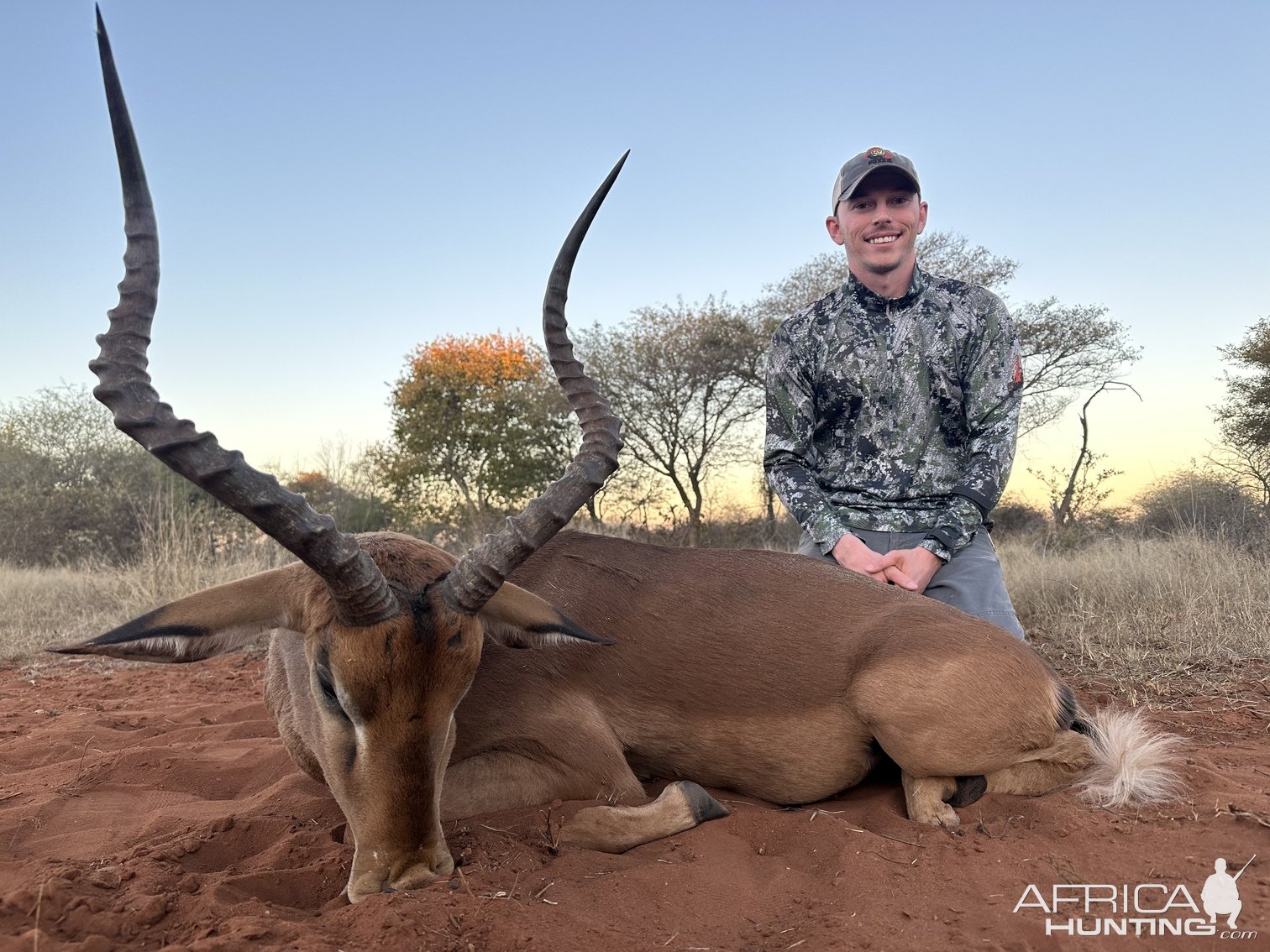 Impala Hunt South Africa