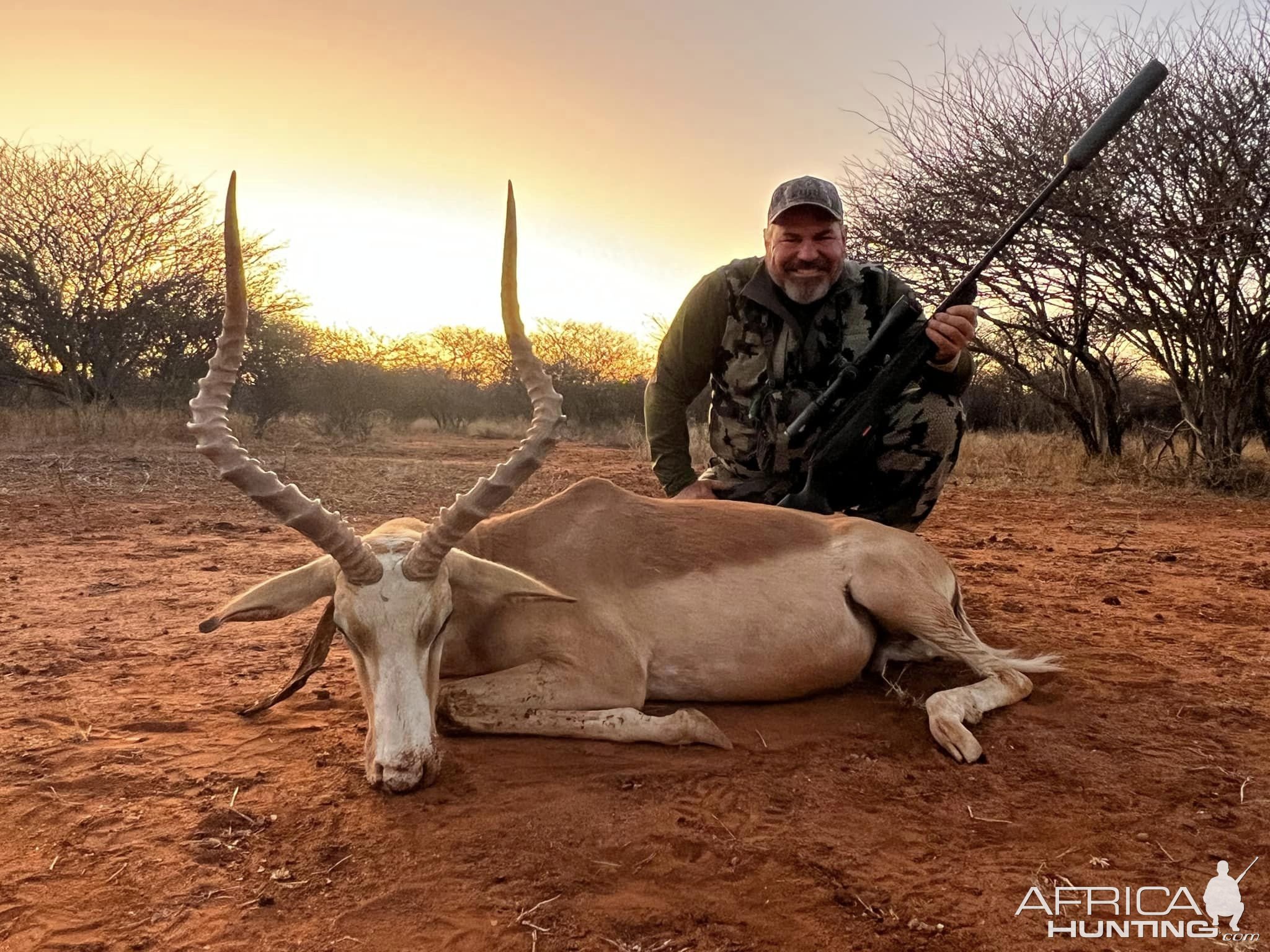 Impala Hunt South Africa