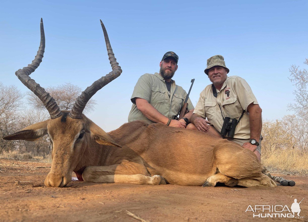 Impala Hunt South Africa