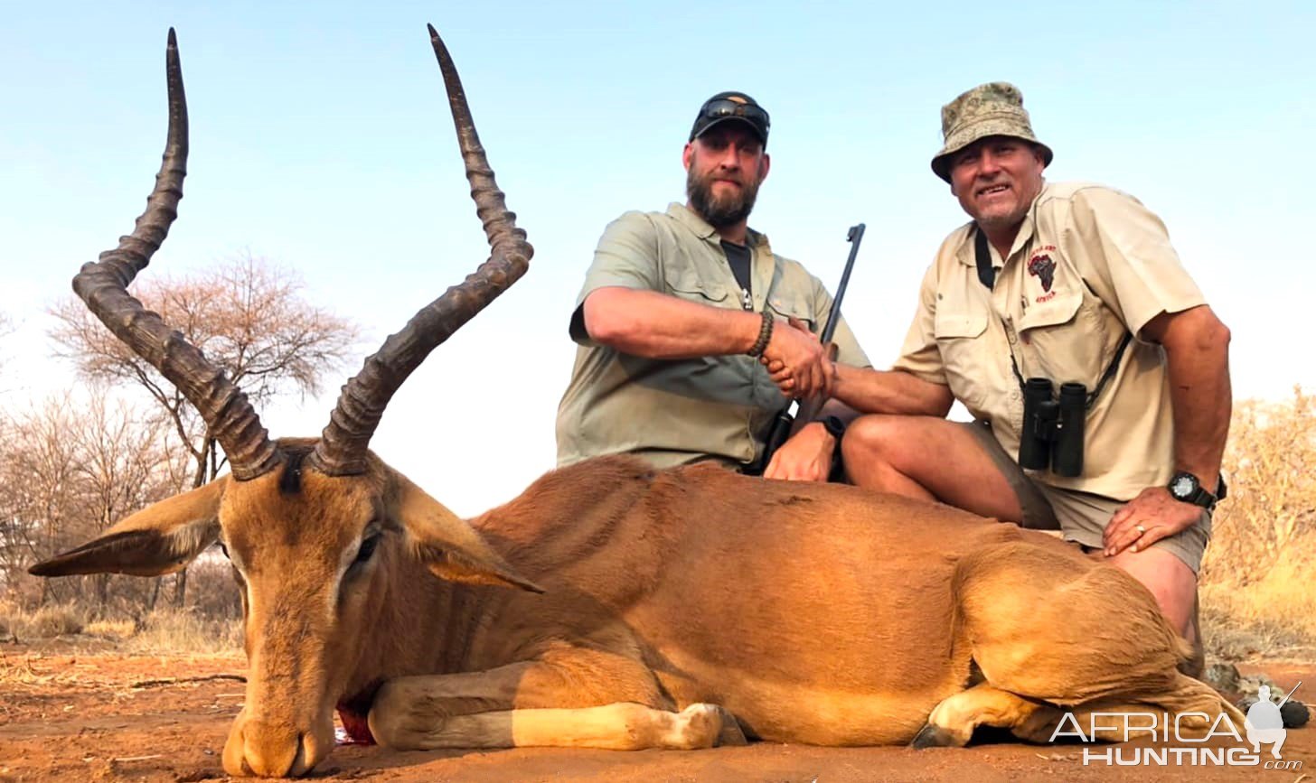 Impala Hunt South Africa