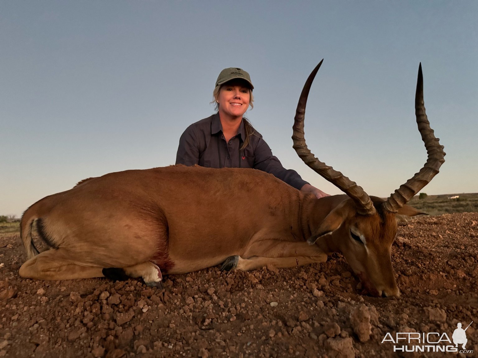 Impala Hunt South Africa