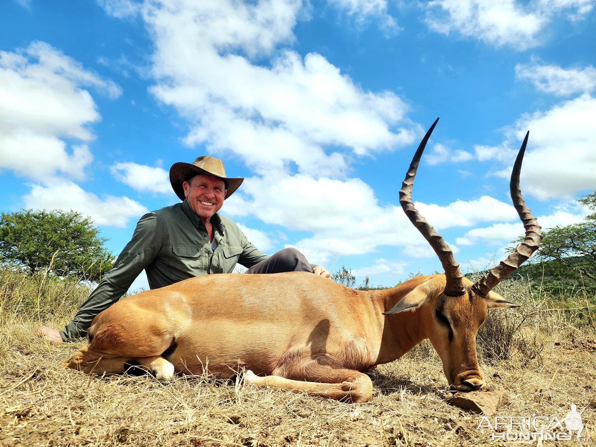 Impala Hunt South Africa