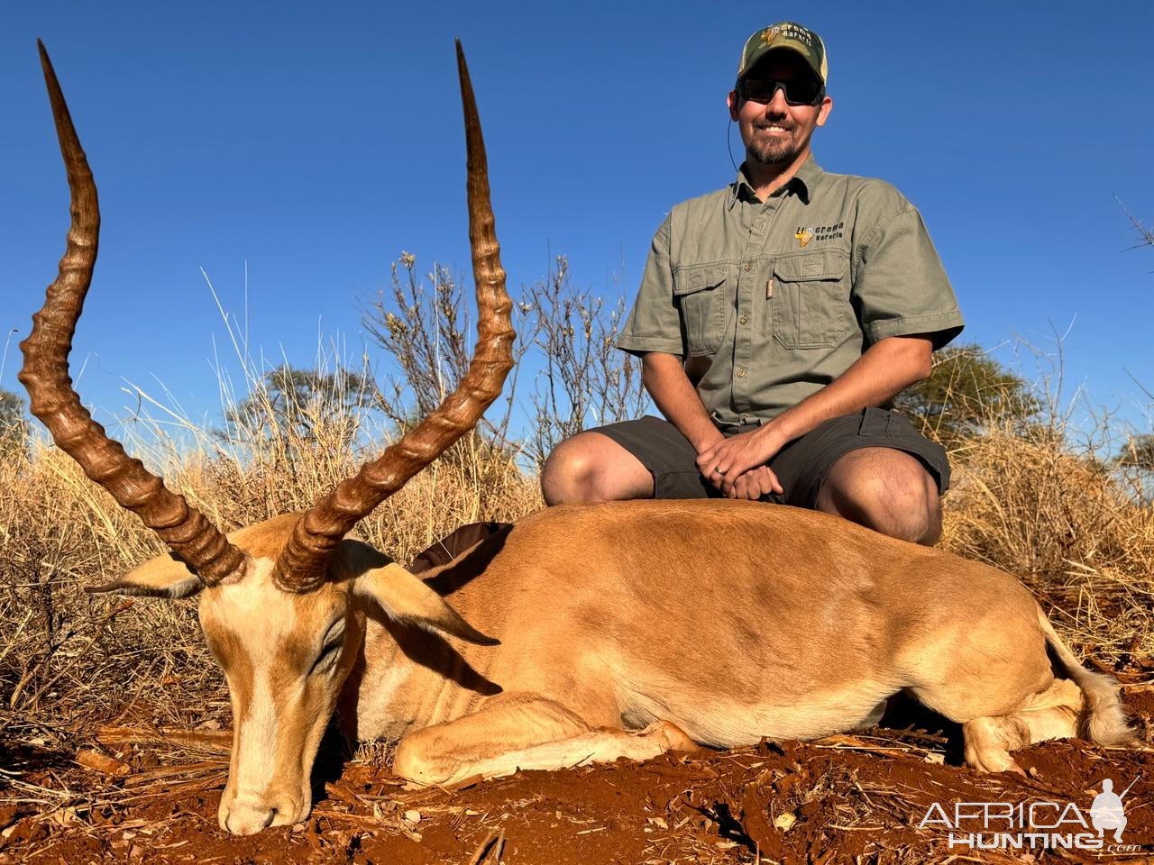 Impala Hunt South Africa