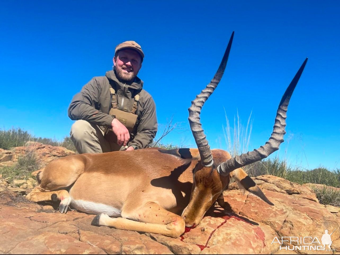 Impala Hunt South Africa