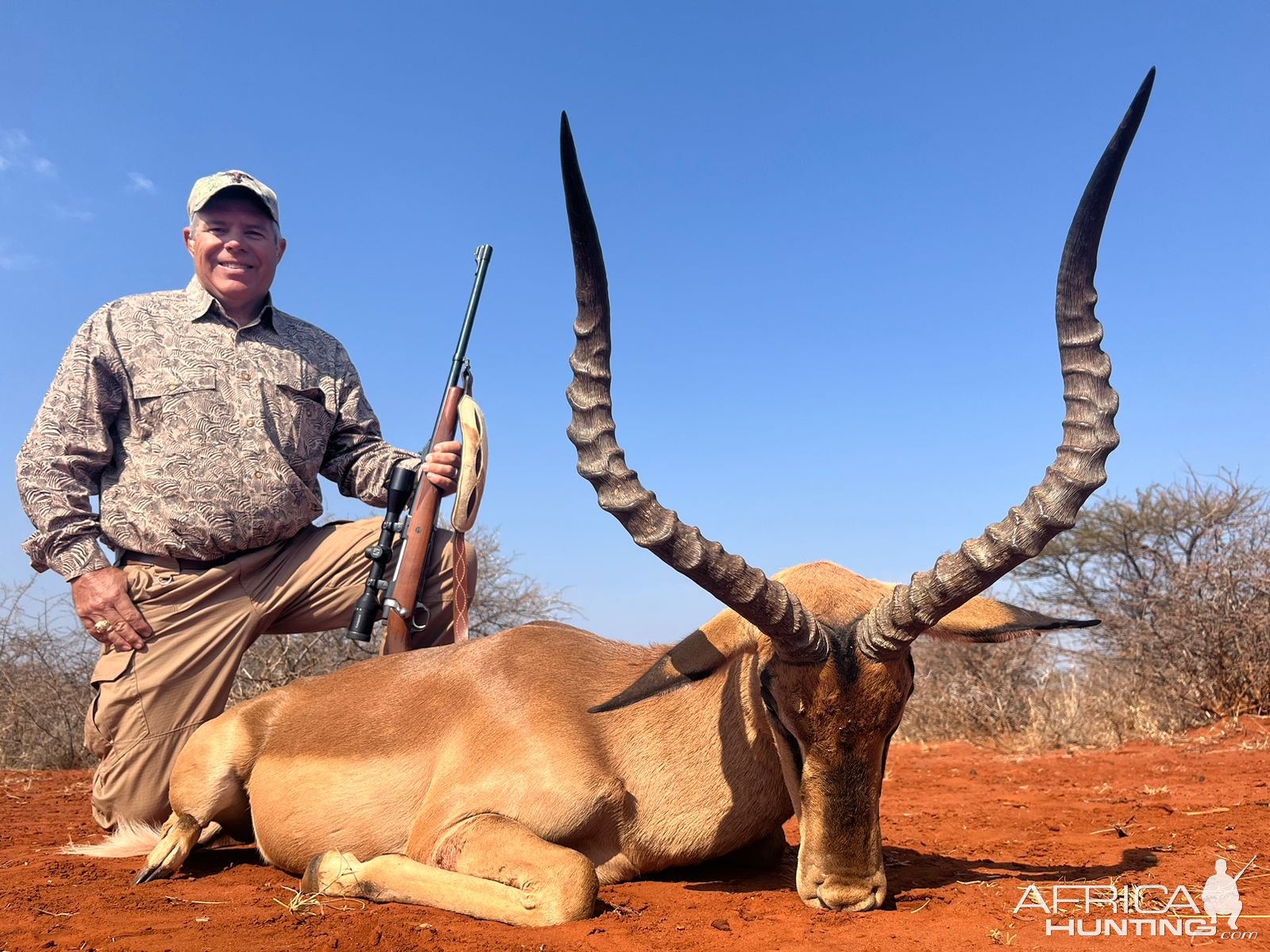 Impala Hunt South Africa