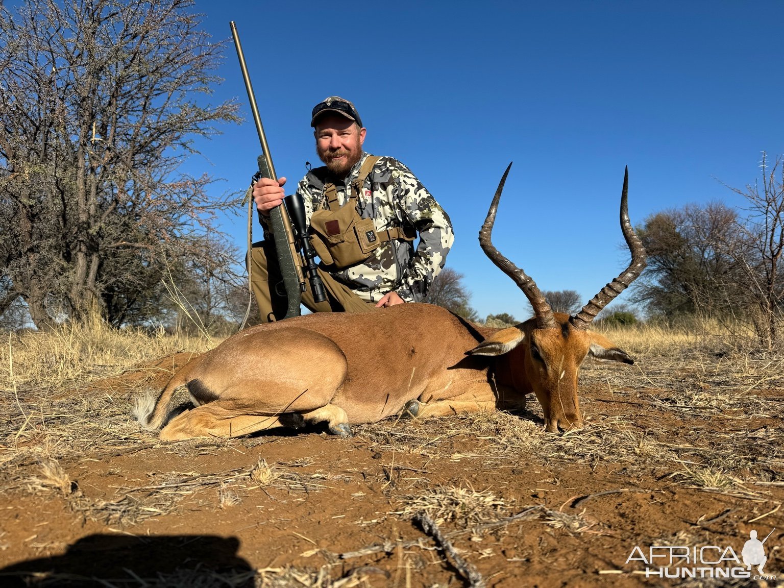 Impala Hunt South Africa