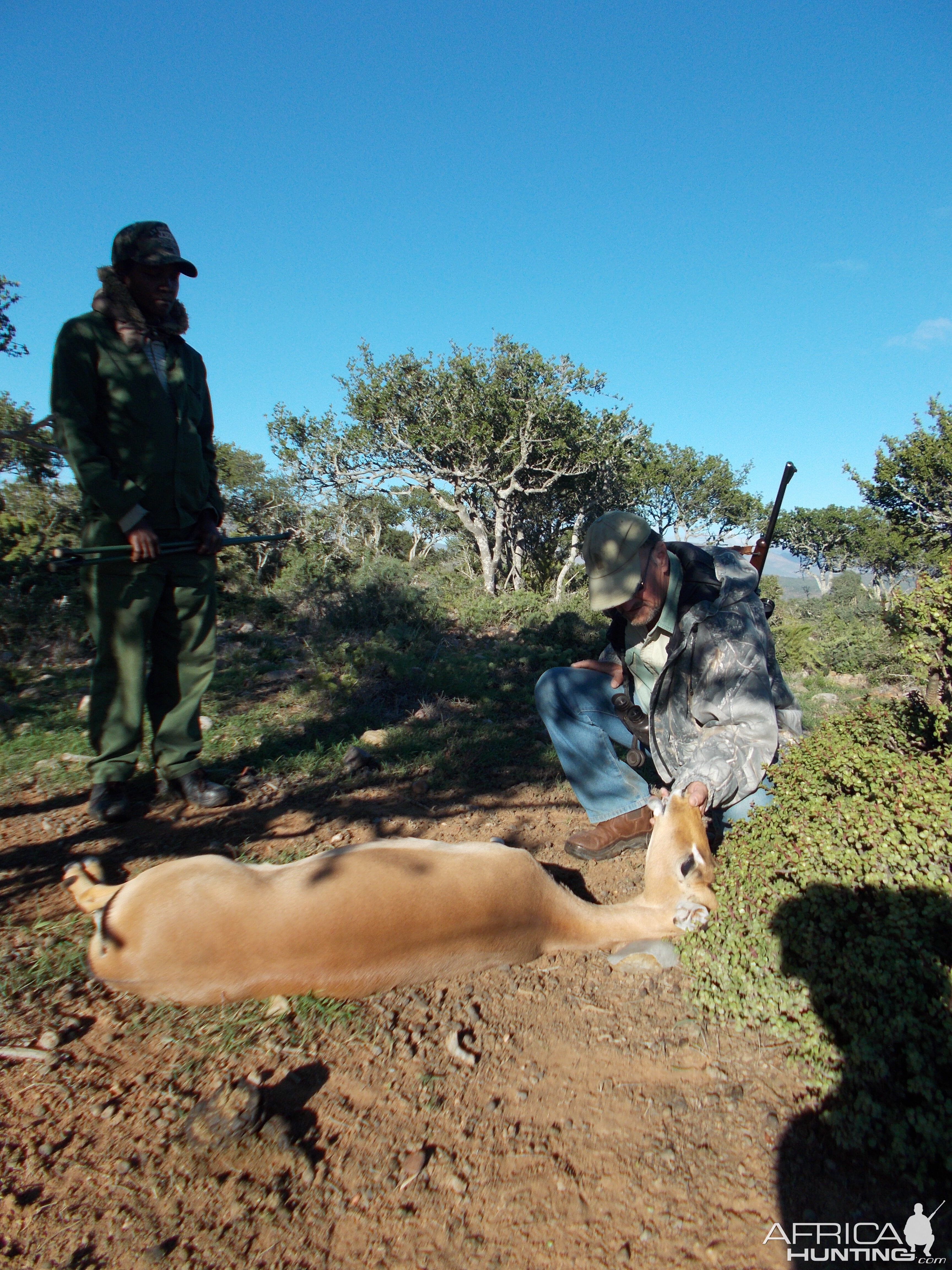 Impala Hunt South Africa