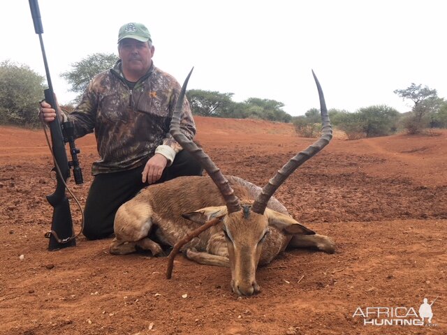 Impala Hunt South Africa