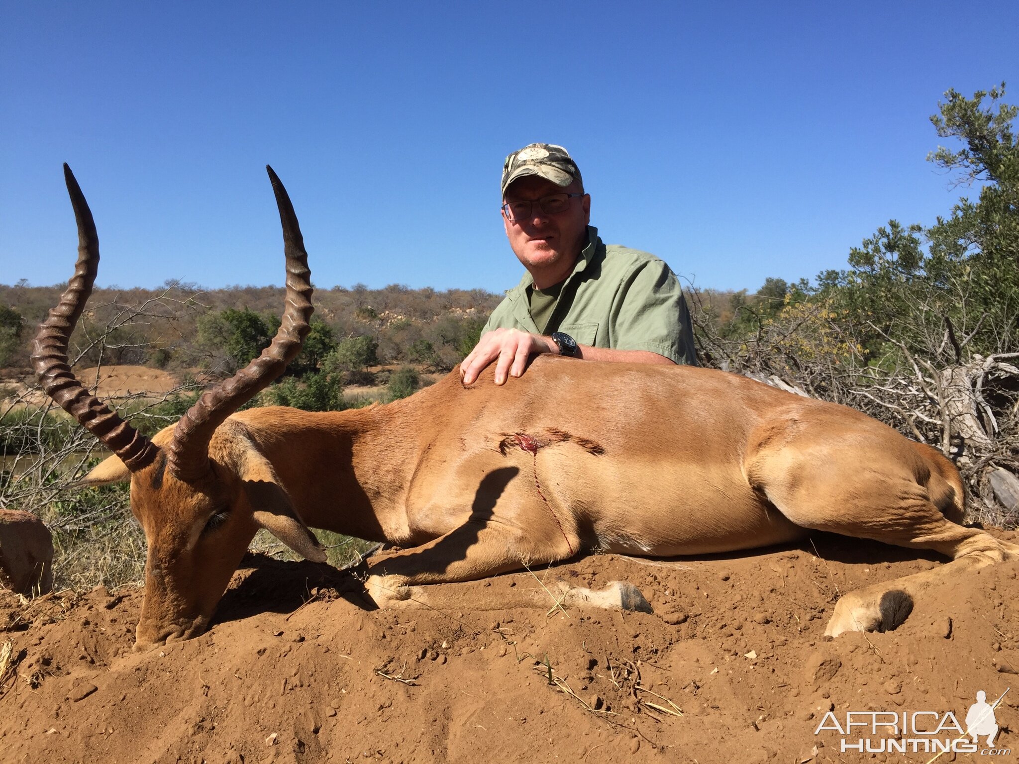 Impala Hunt South Africa