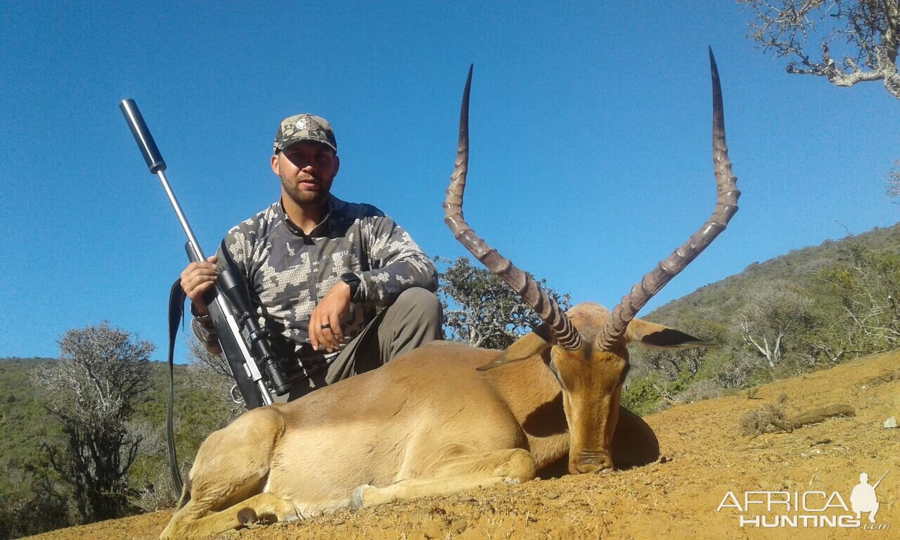 Impala Hunt South Africa