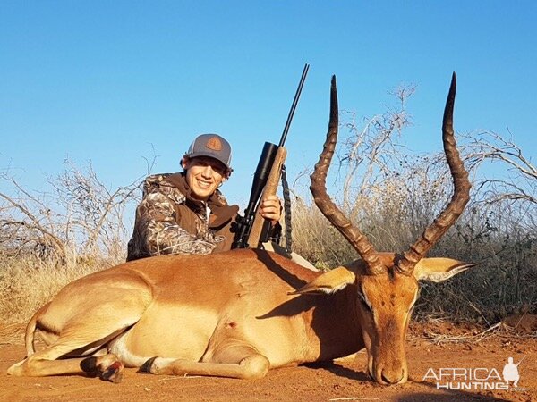 Impala Hunt South Africa