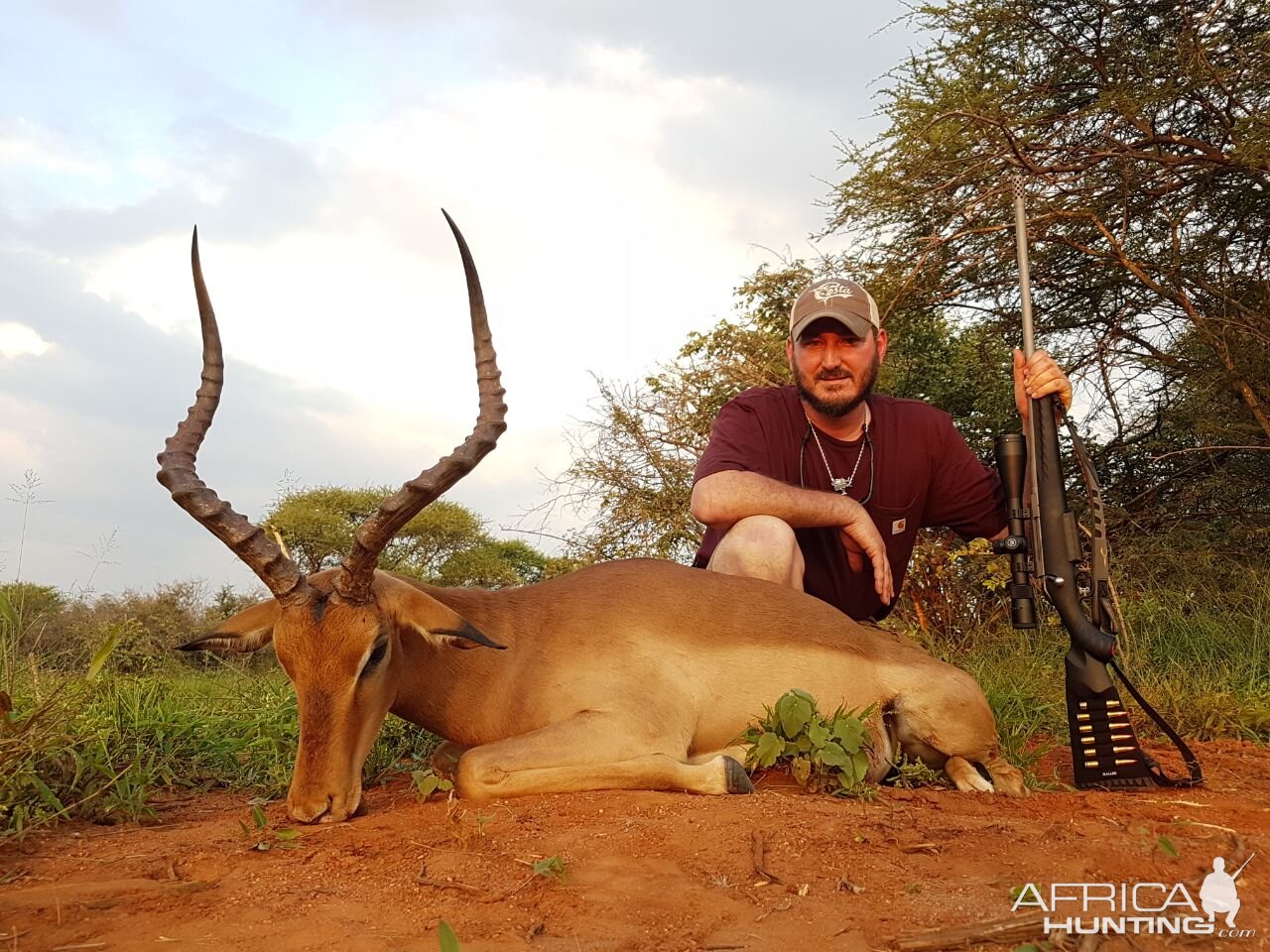 Impala Hunt South Africa