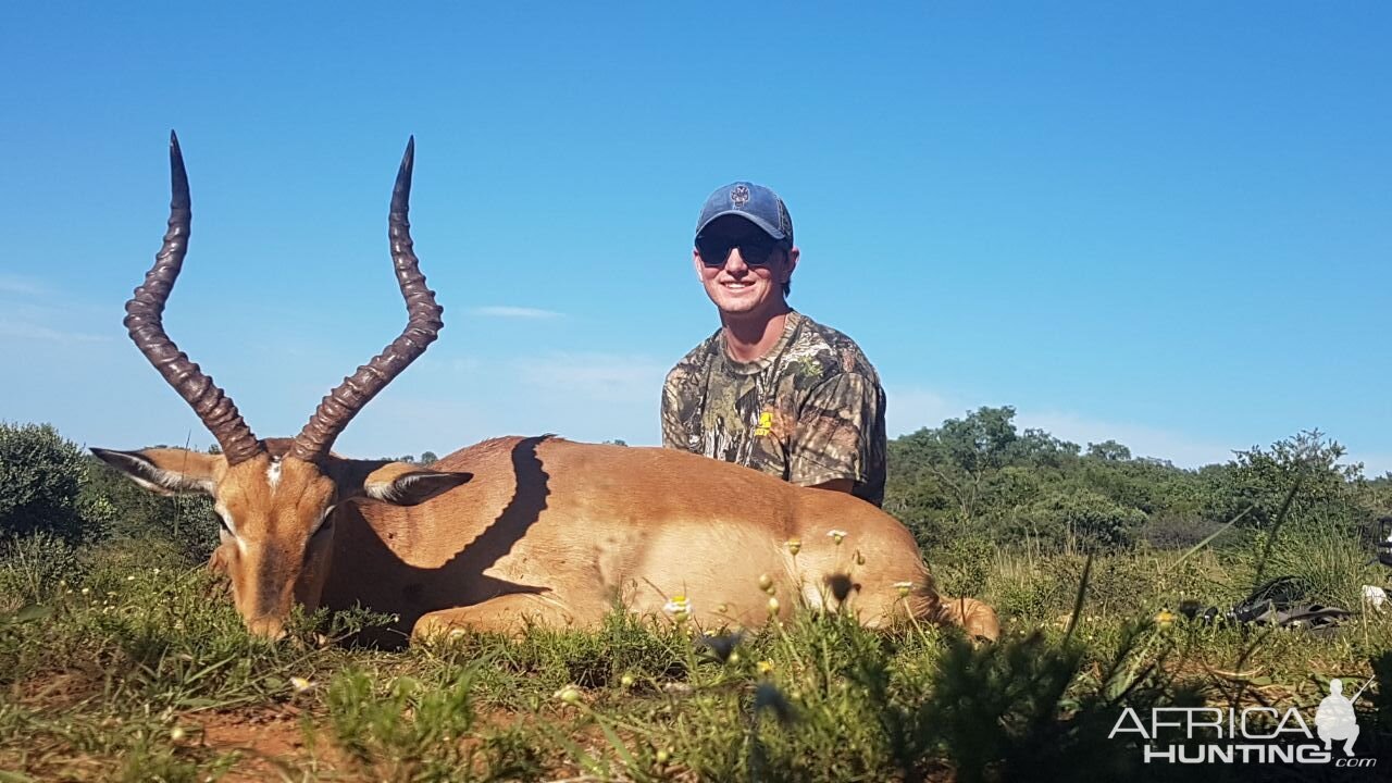 Impala Hunt South Africa