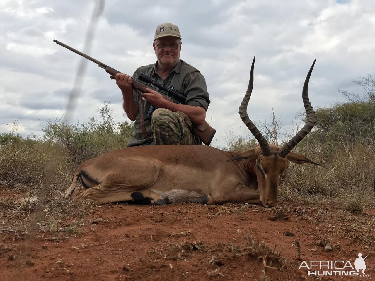 Impala Hunt South Africa