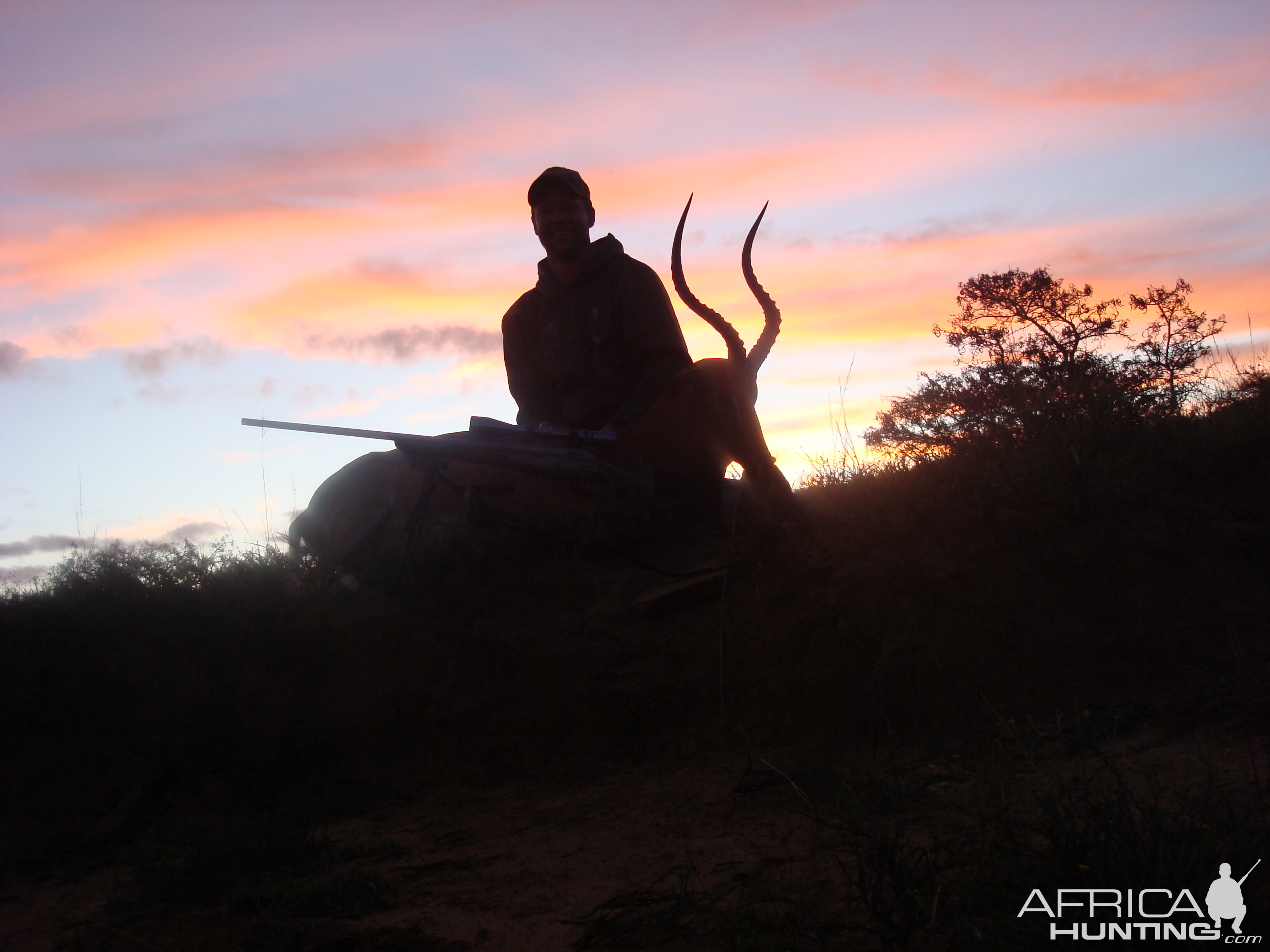 Impala Hunt South Africa