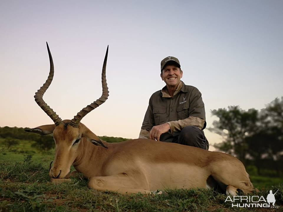 Impala Hunt South Africa