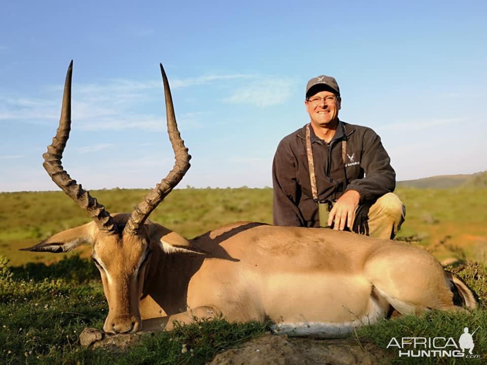 Impala Hunt South Africa