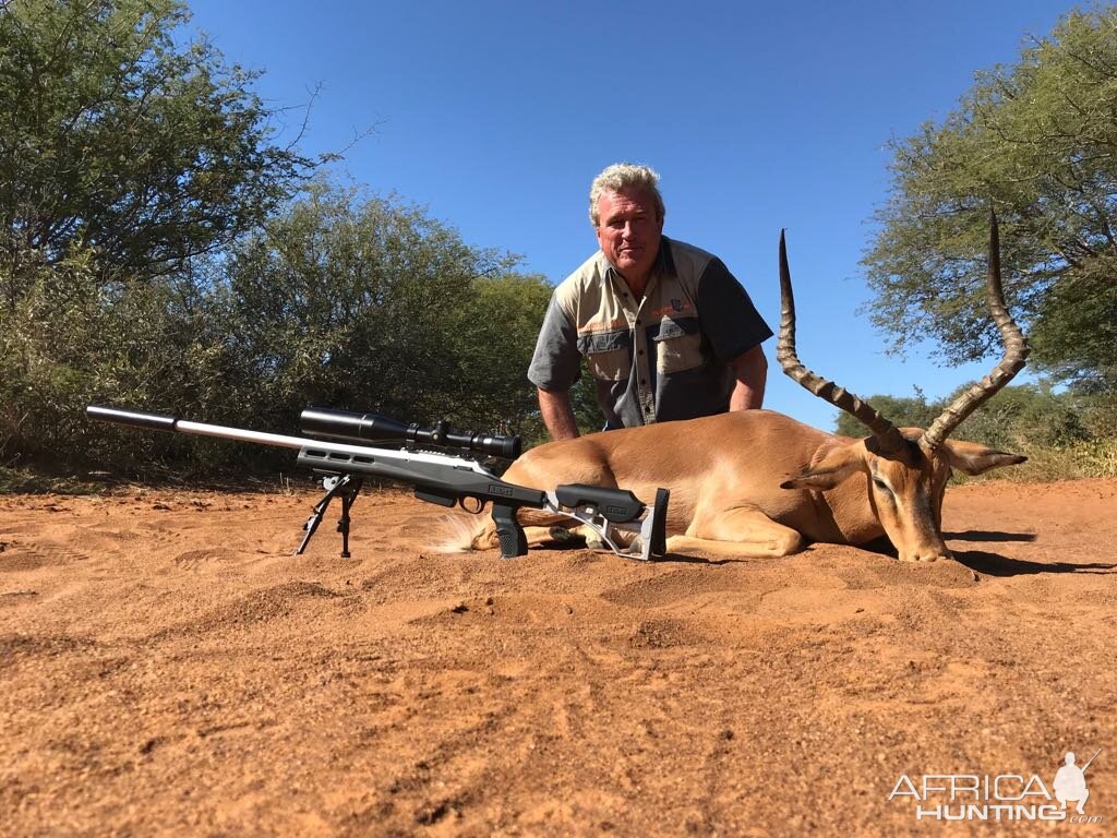 Impala Hunt South Africa