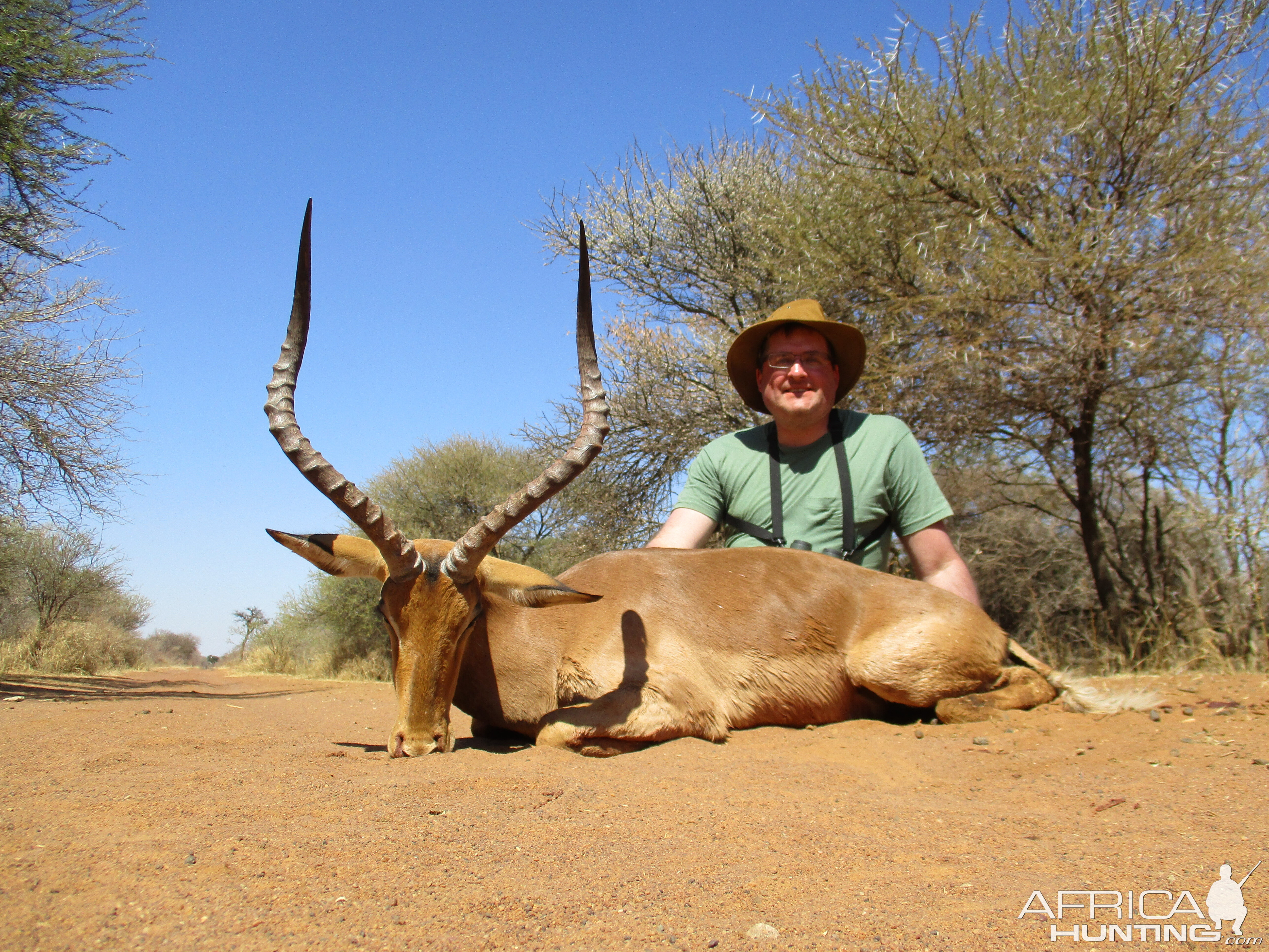 Impala Hunt South Africa