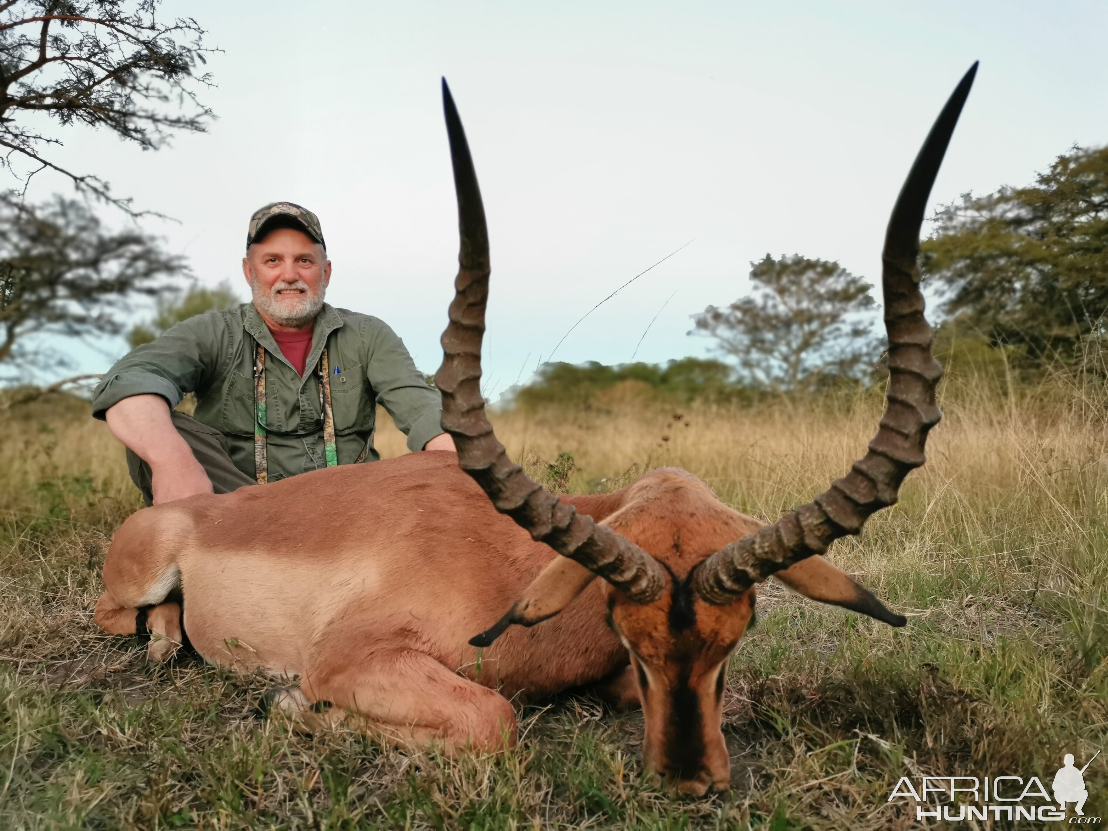 Impala Hunt South Africa