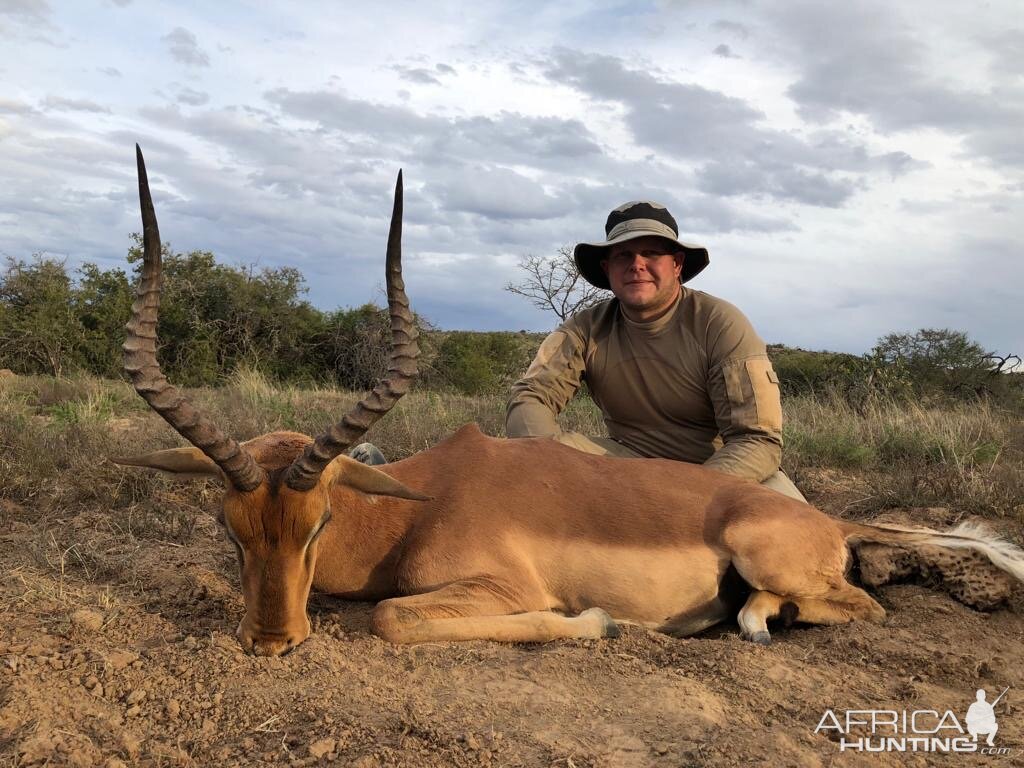 Impala Hunt South Africa