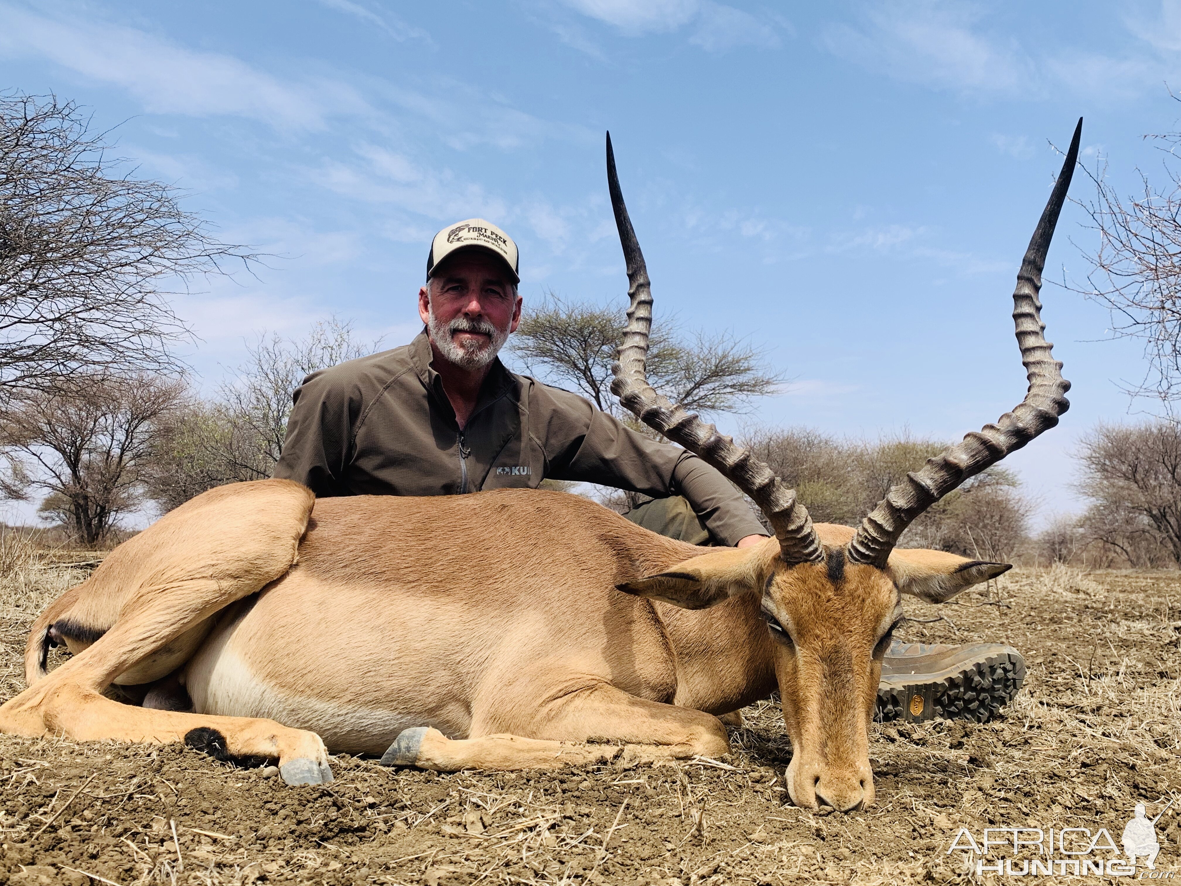 Impala Hunt South Africa