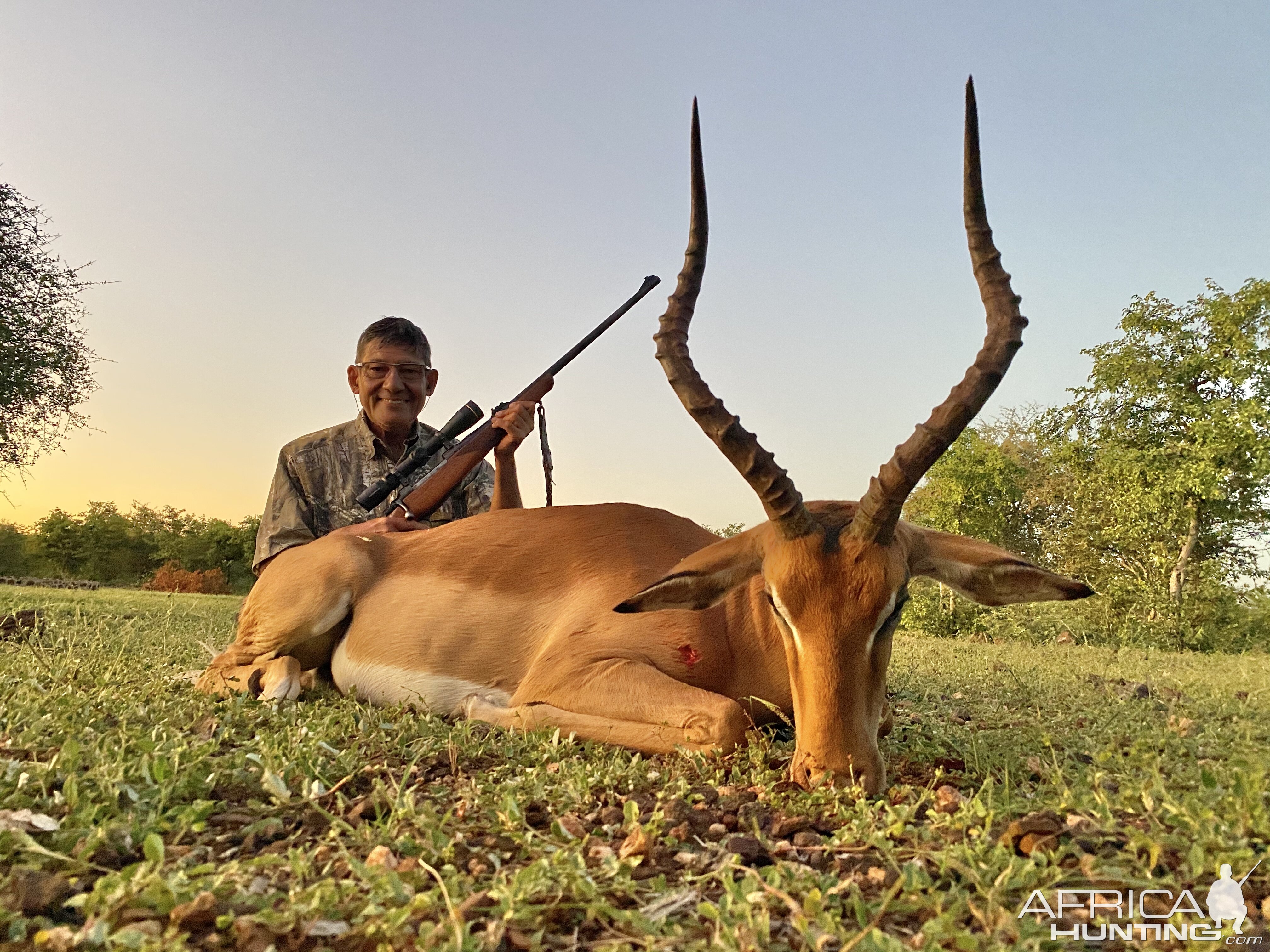 Impala Hunt South Africa