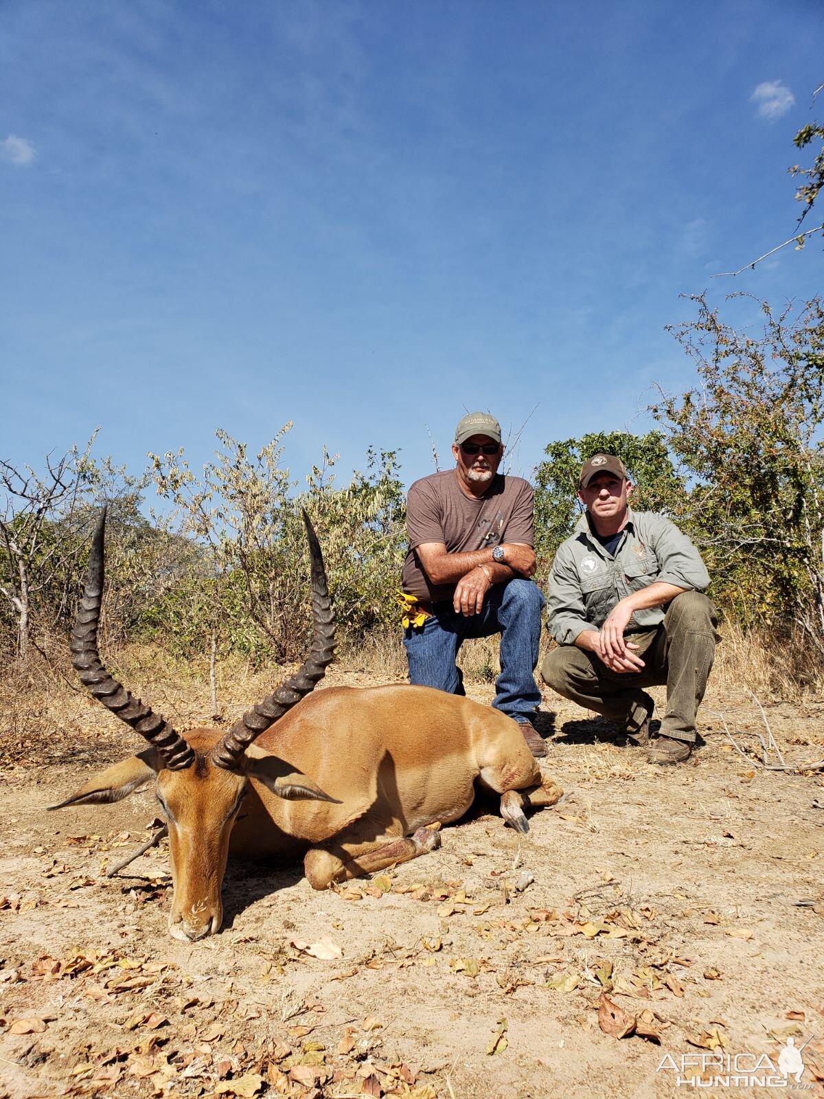 Impala Hunt Tanzania