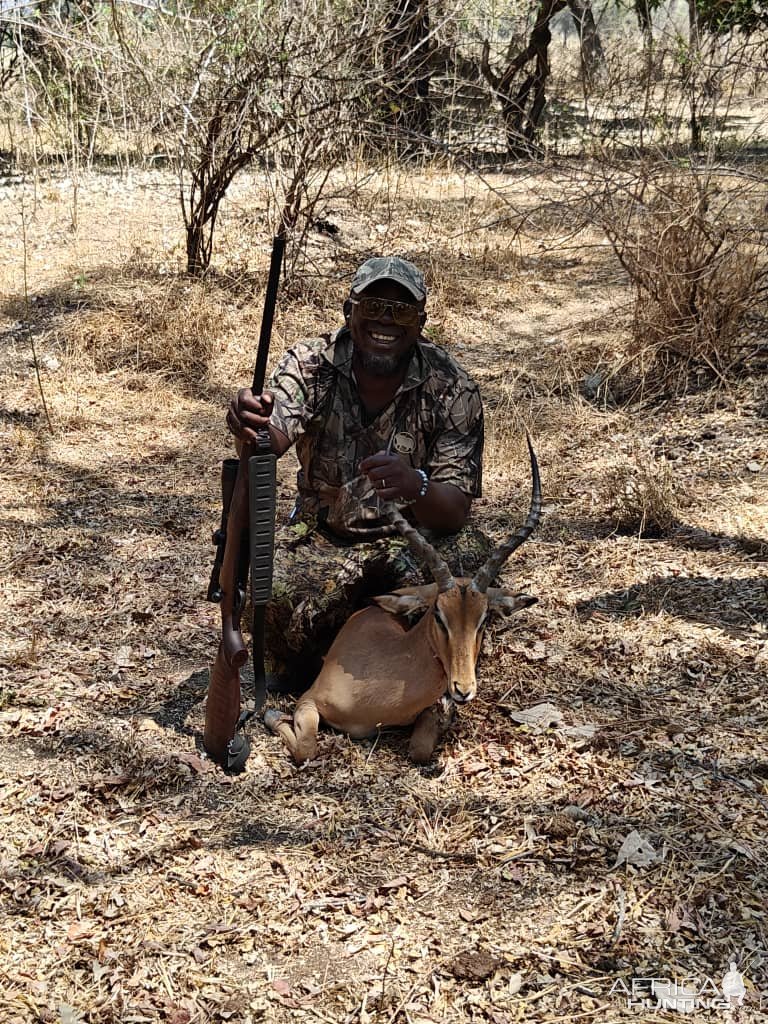 Impala Hunt Zambia