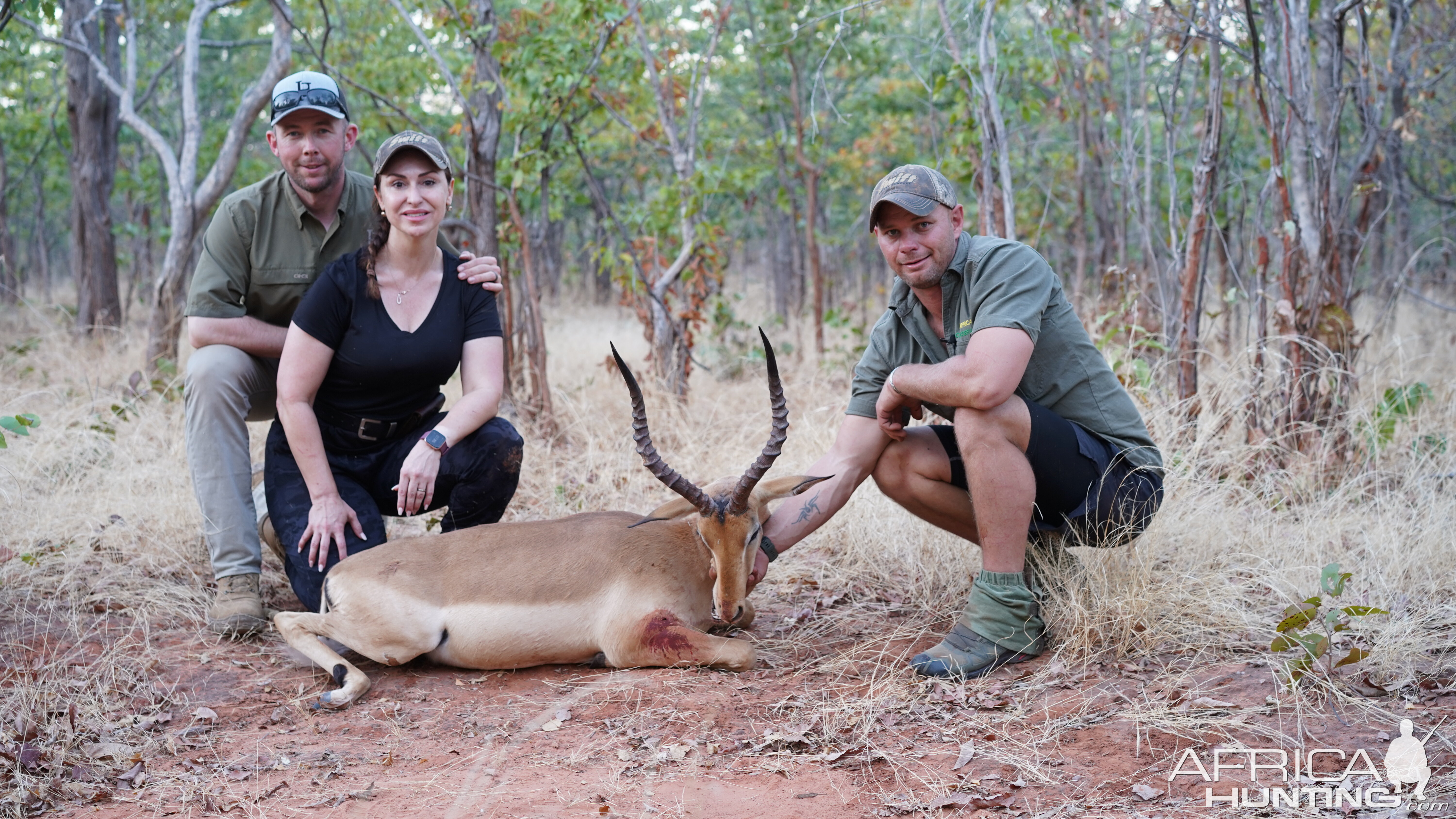 Impala Hunt Zimbabwe