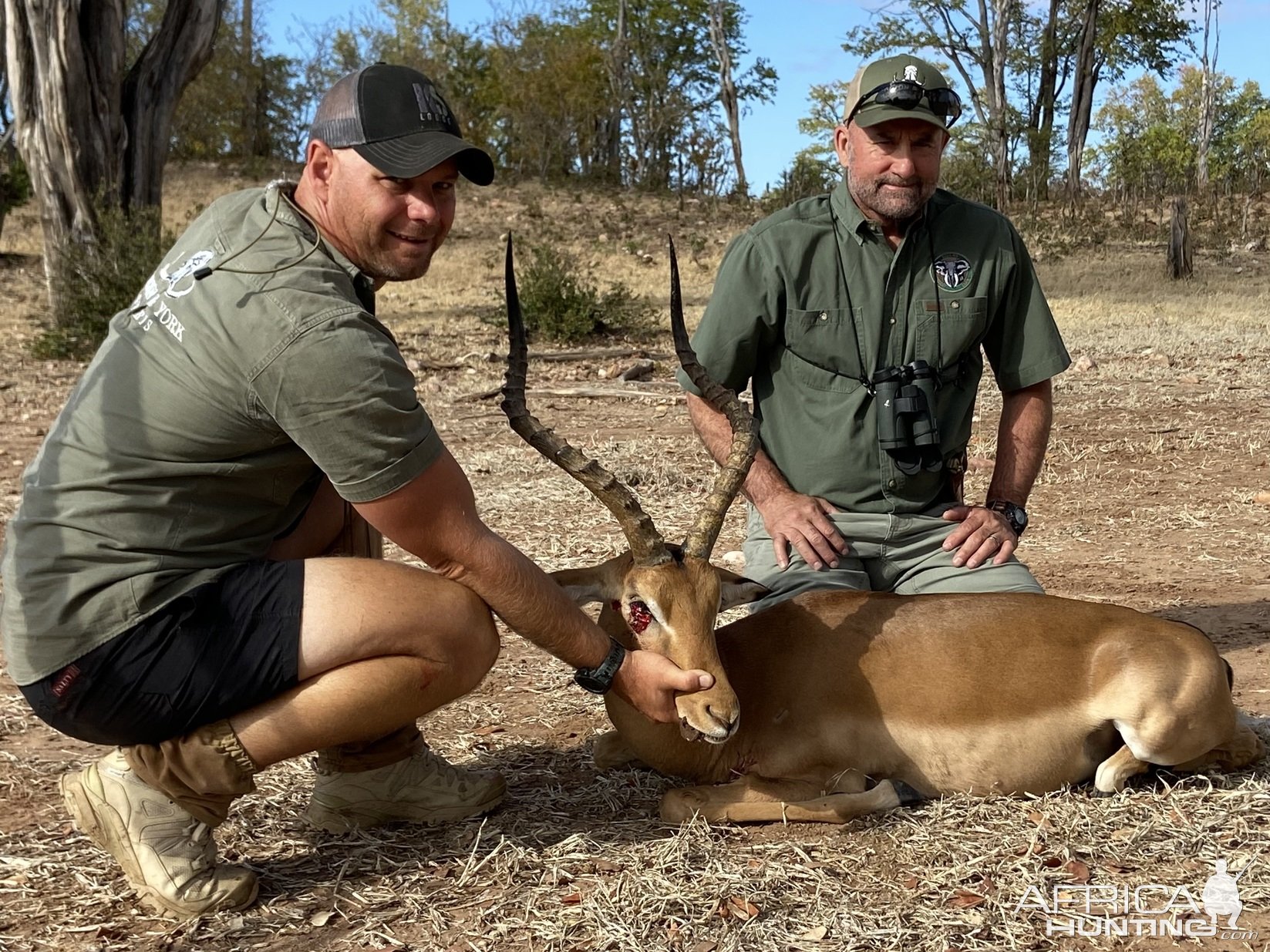 Impala Hunt Zimbabwe