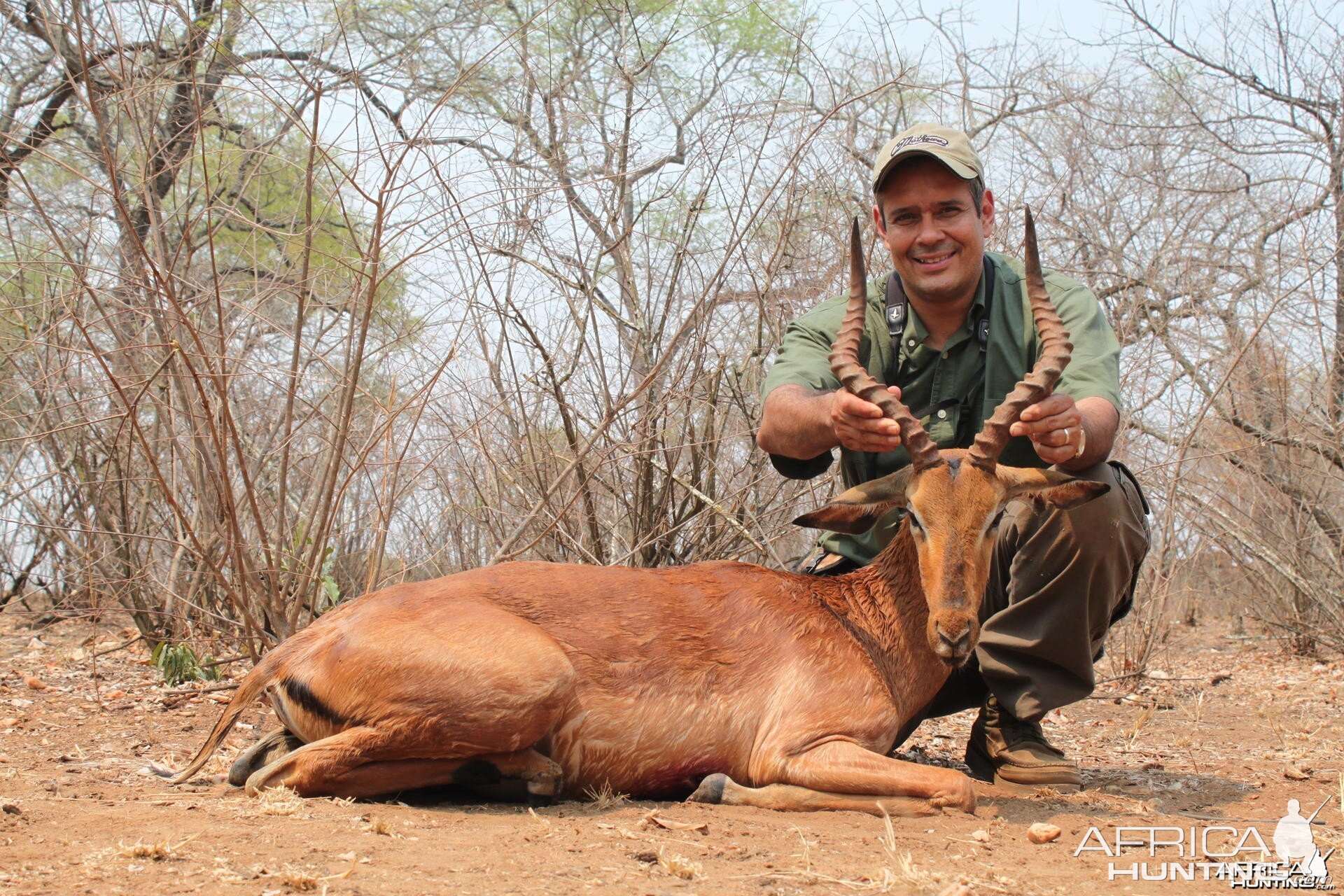 Impala hunted in Zimbabwe