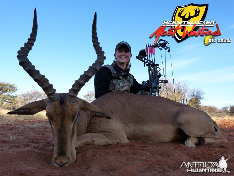 Impala hunted with Wintershoek Johnny Vivier Safaris