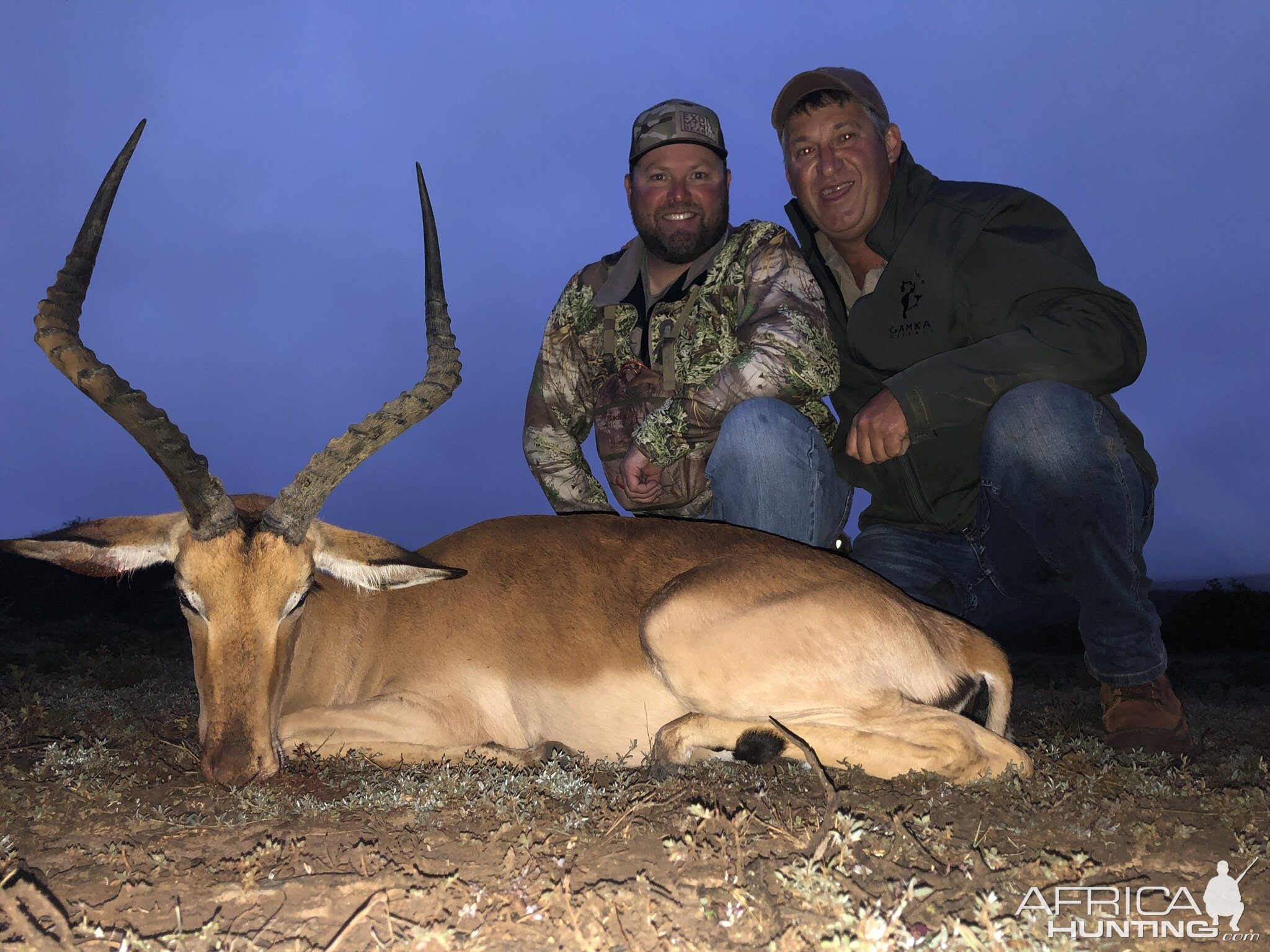 Impala Hunting Eastern Cape South Africa