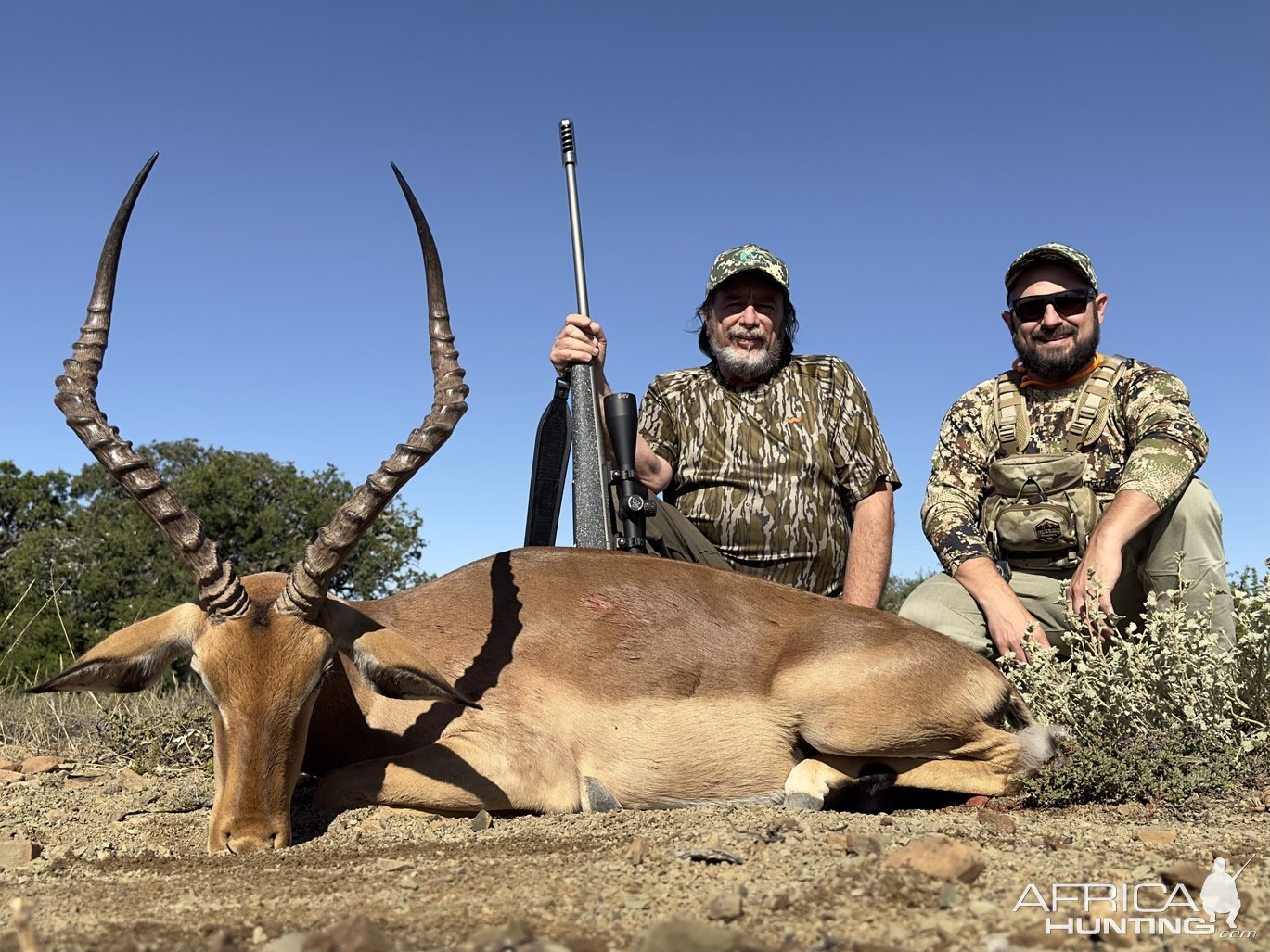 Impala Hunting Eastern Cape South Africa