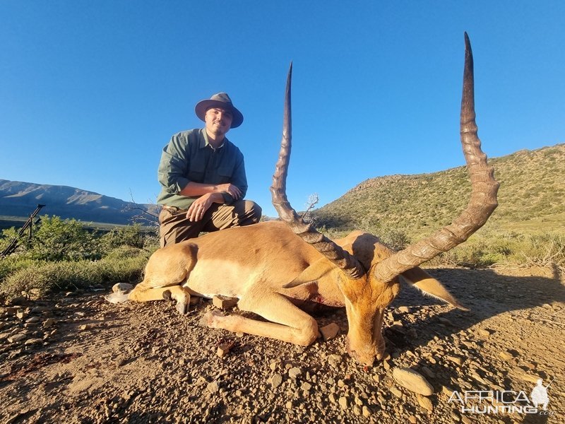 Impala Hunting Eastern Cape South Africa