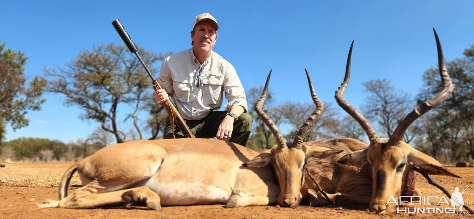 Impala Hunting Hunt South Africa