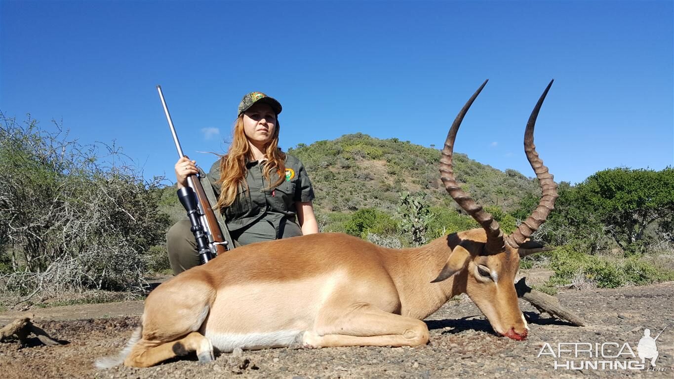 Impala Hunting in  South Africa