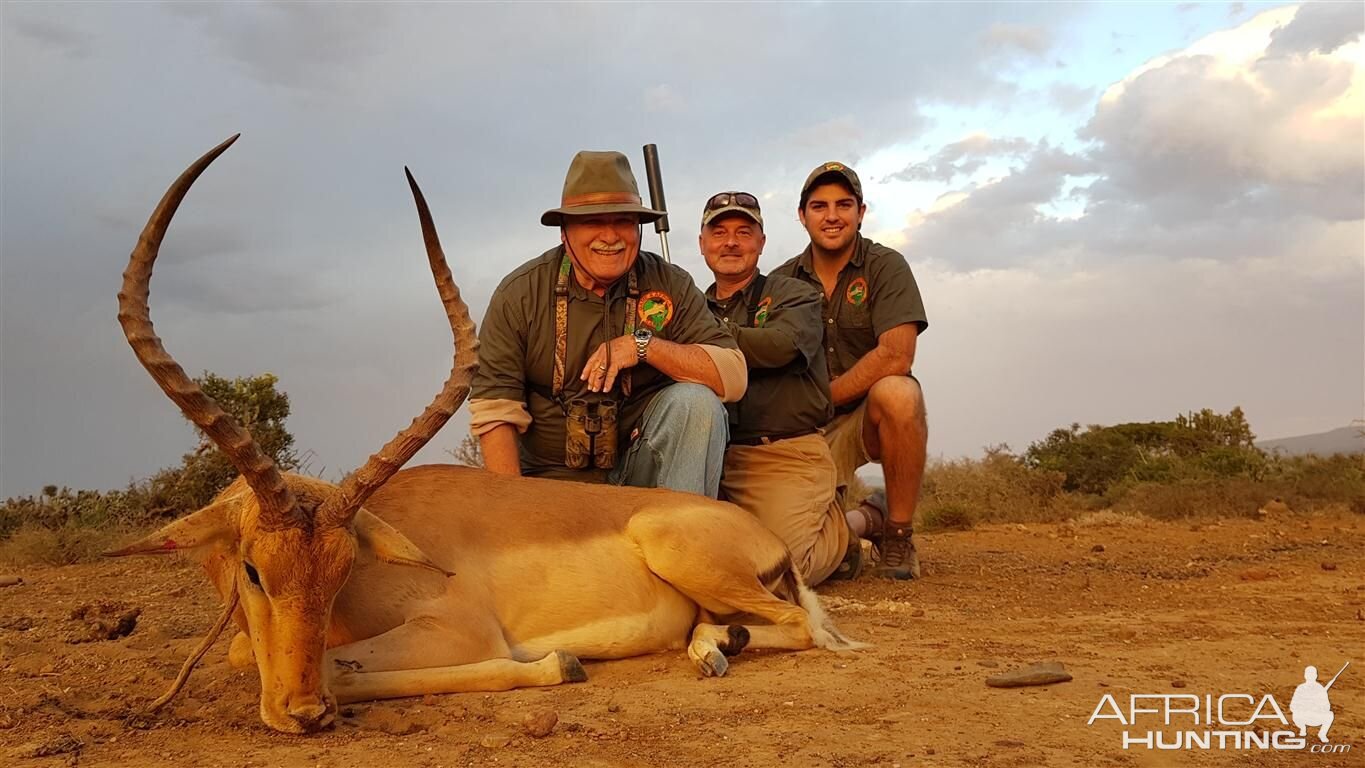 Impala Hunting in South Africa