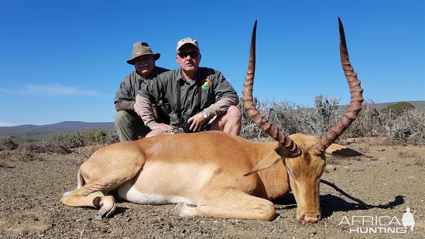 Impala Hunting in South Africa