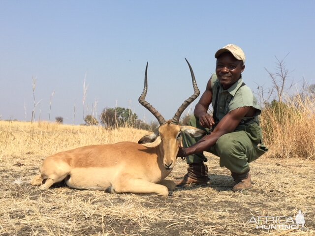 Impala Hunting in Zimbabwe