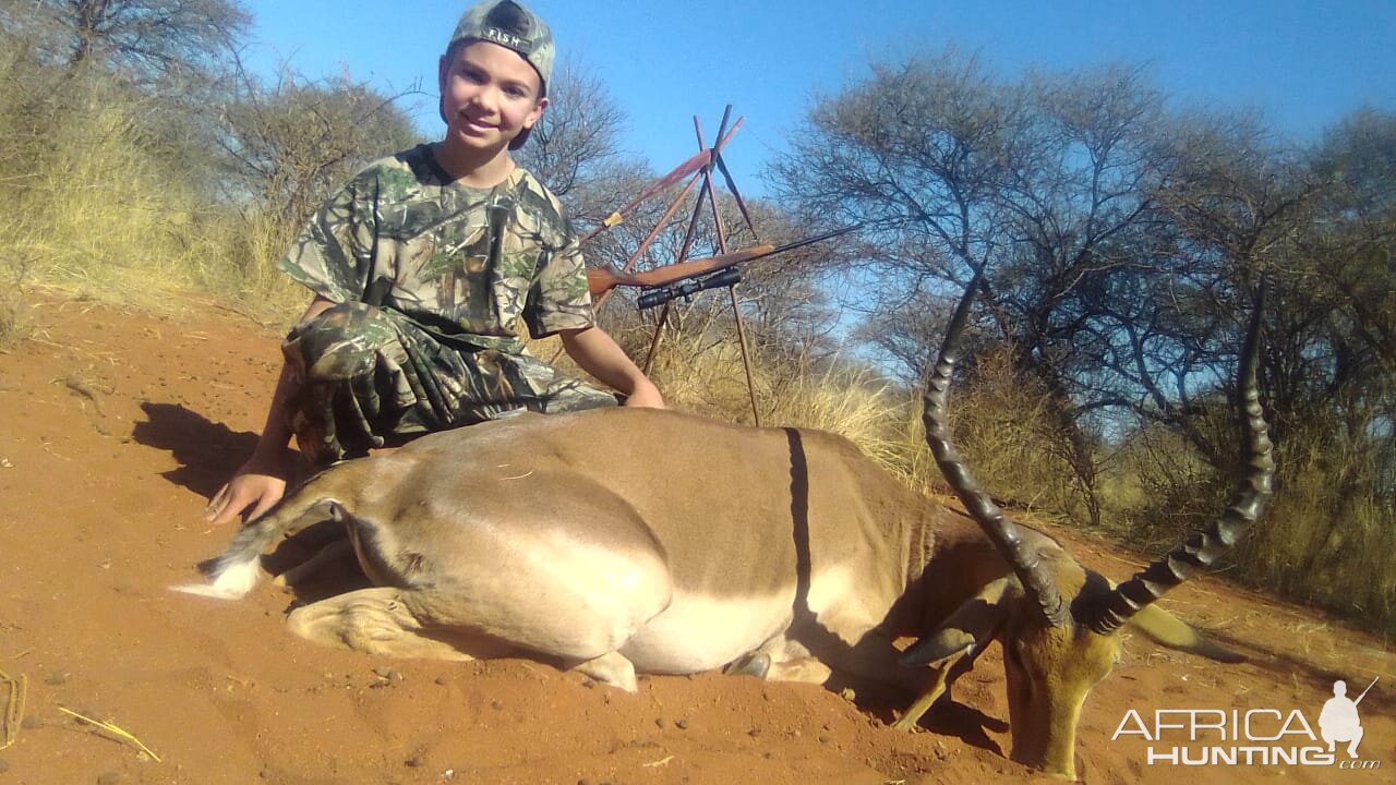 Impala Hunting Limpopo Povince South Africa