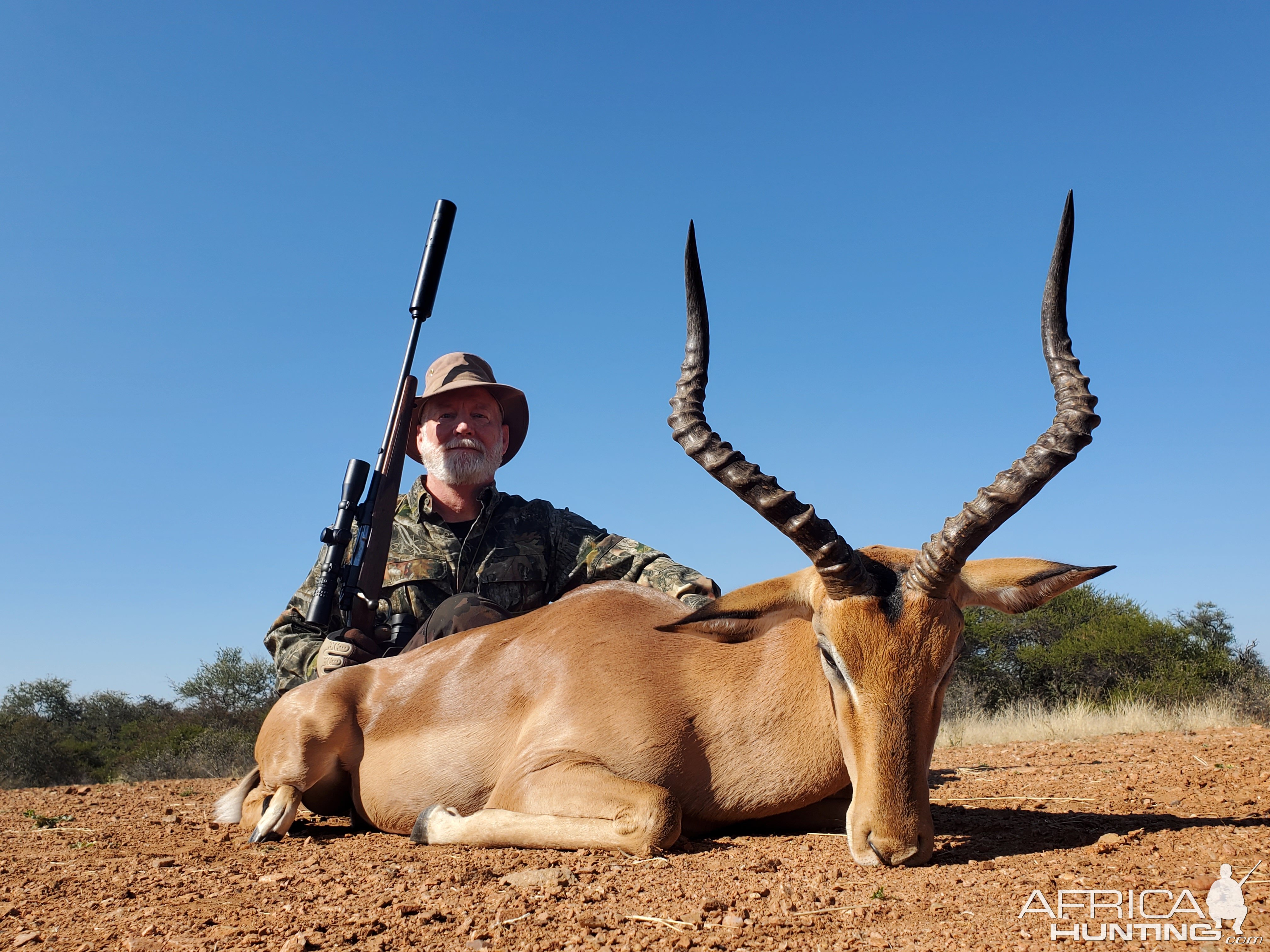 Impala Hunting Limpopo South Africa