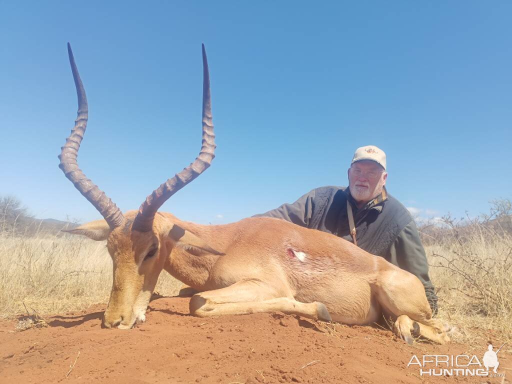 Impala Hunting Limpopo South Africa