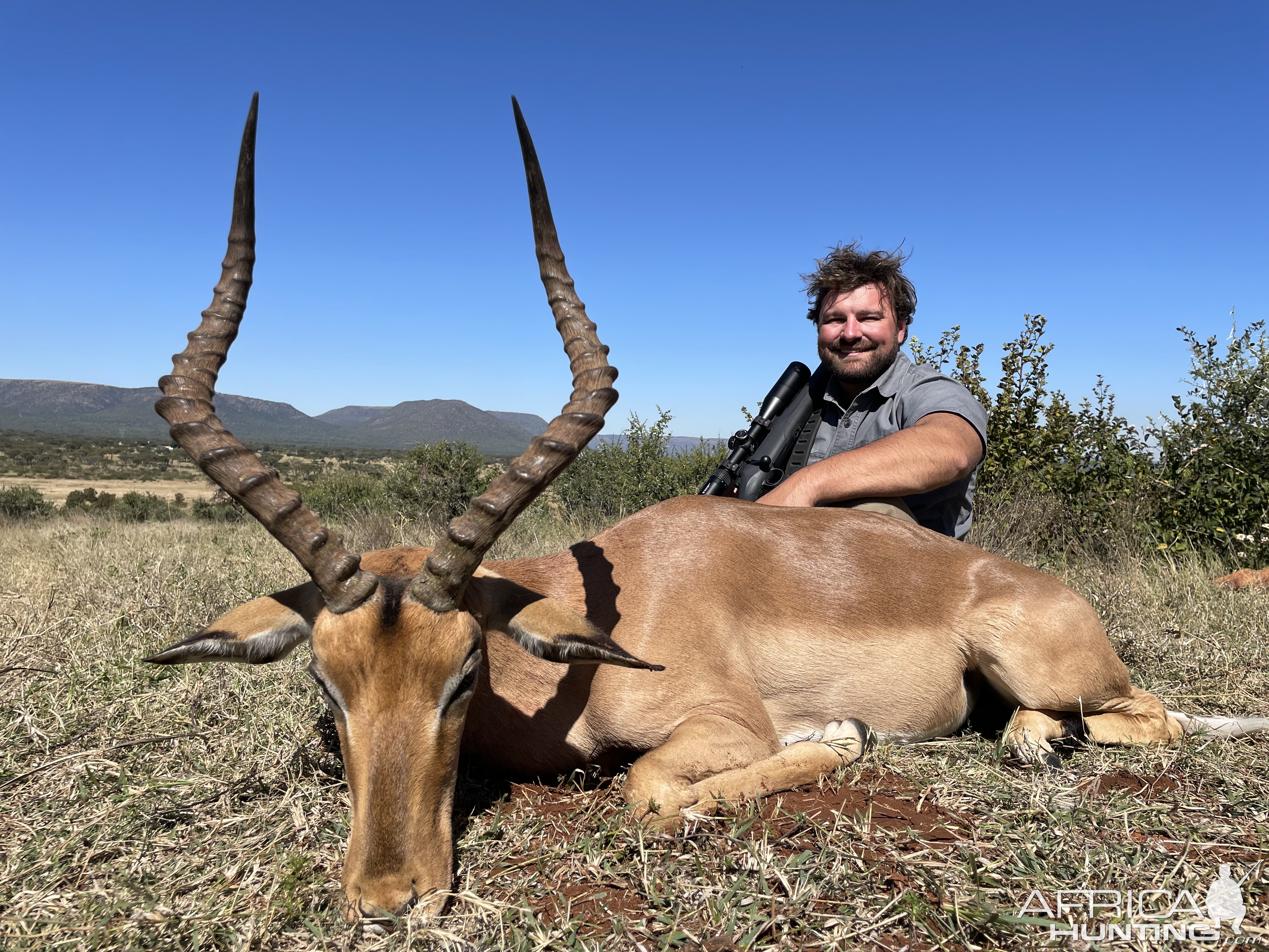 Impala Hunting Limpopo South Africa