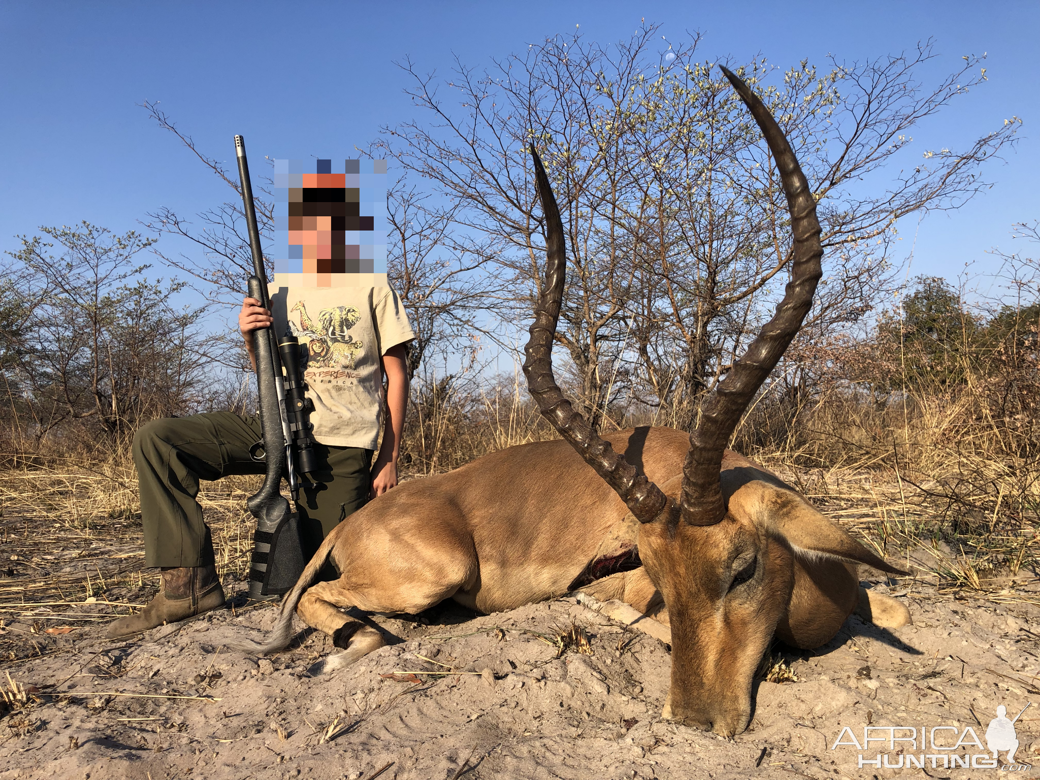 Impala Hunting Namibia